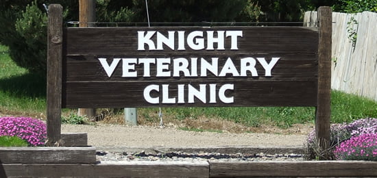 Veterinarian in Mountain Home, ID